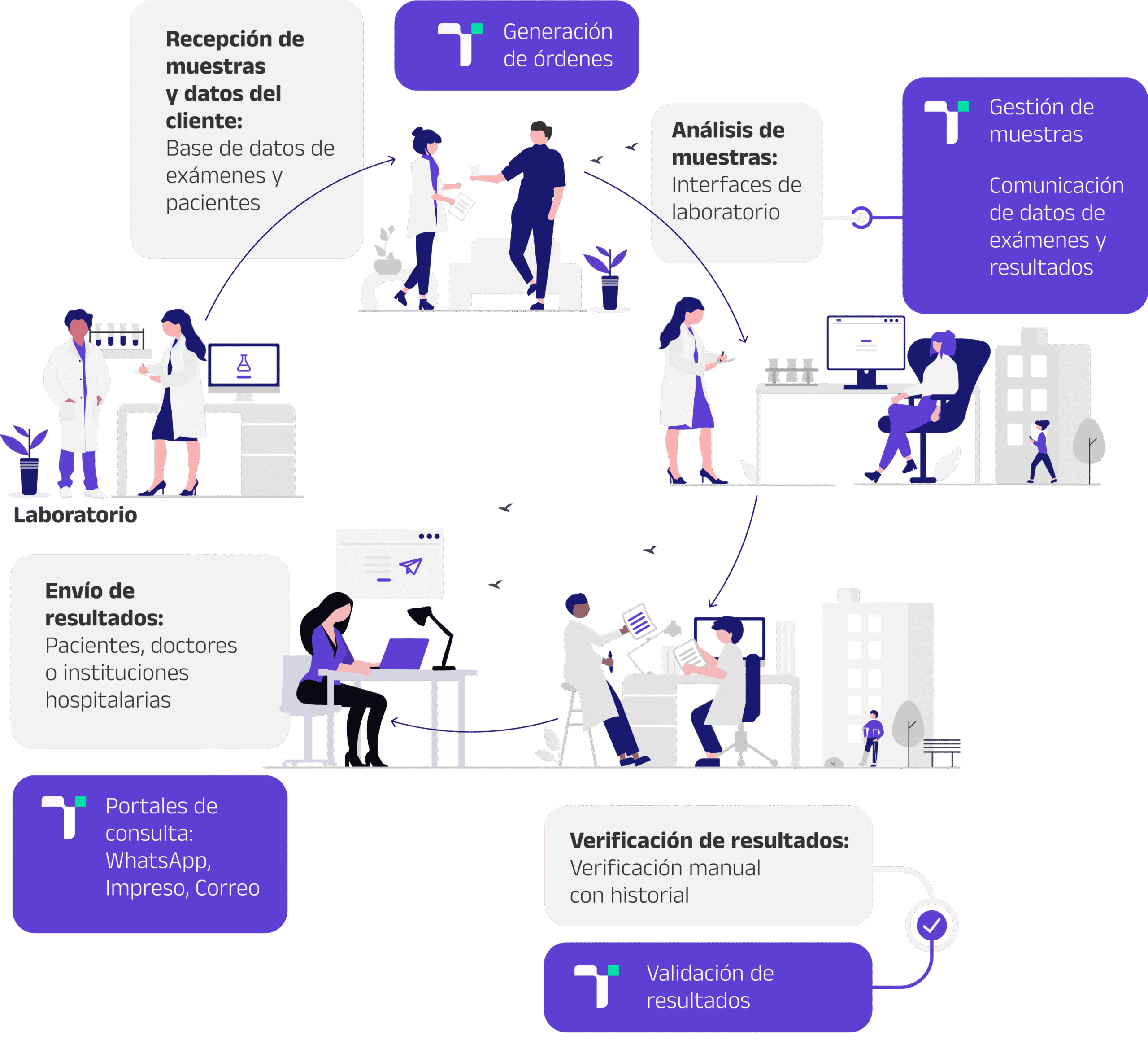 Infografia Terium scaled